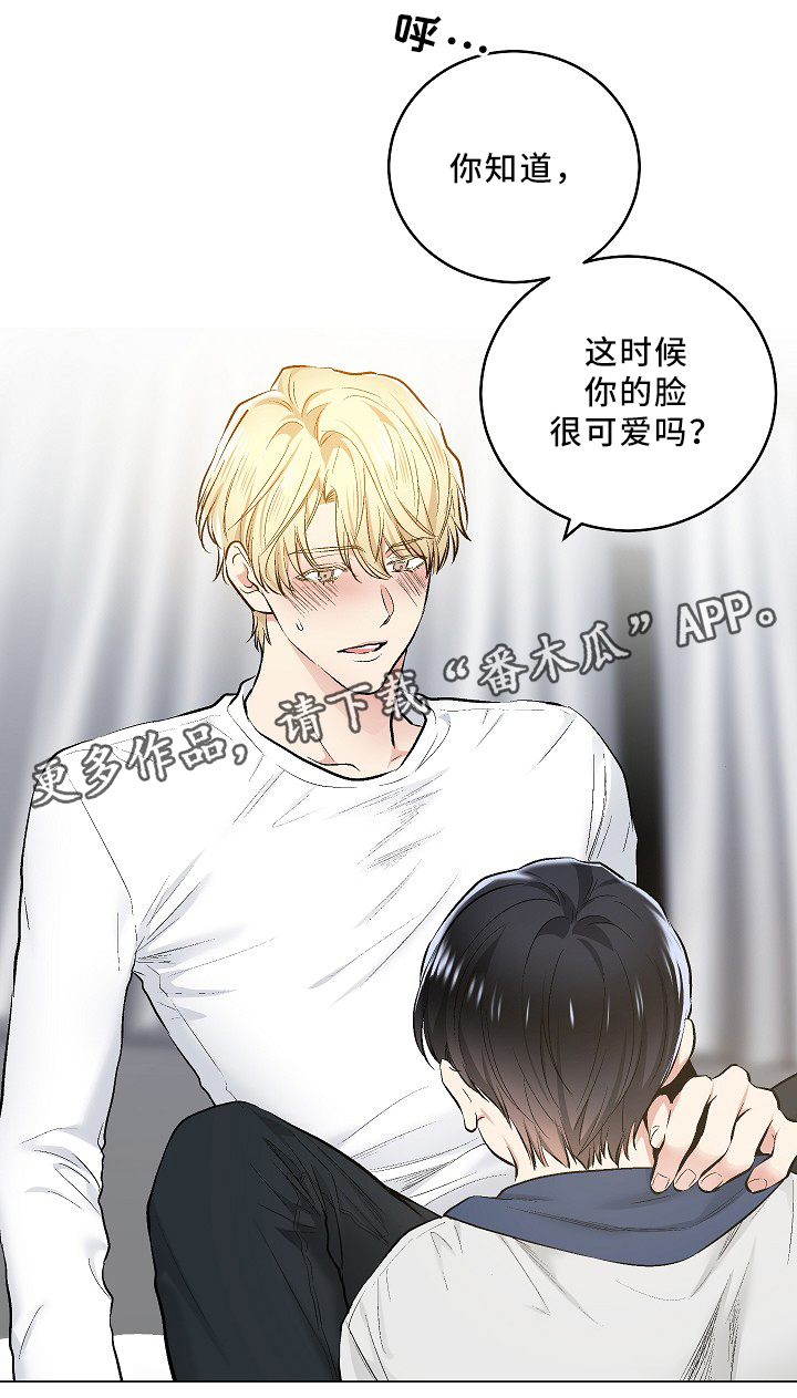 第75章：可爱的你17