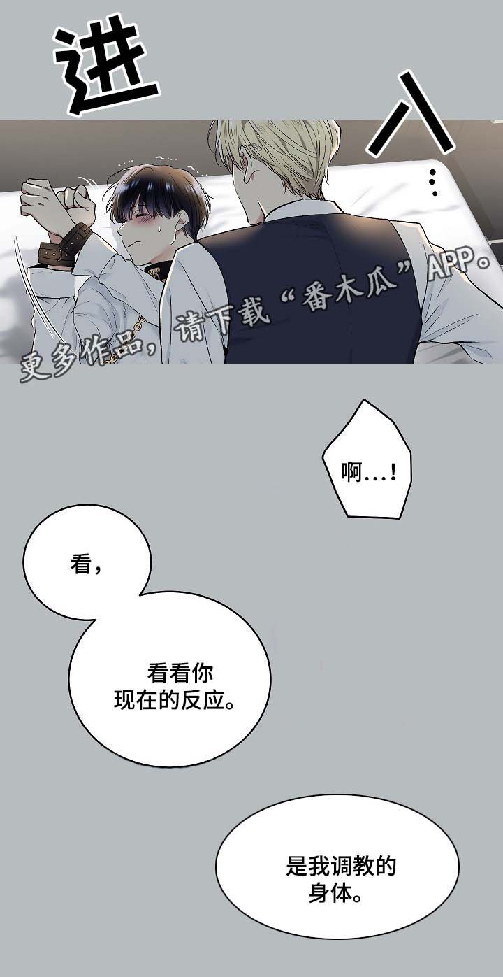 第58章：幻想5