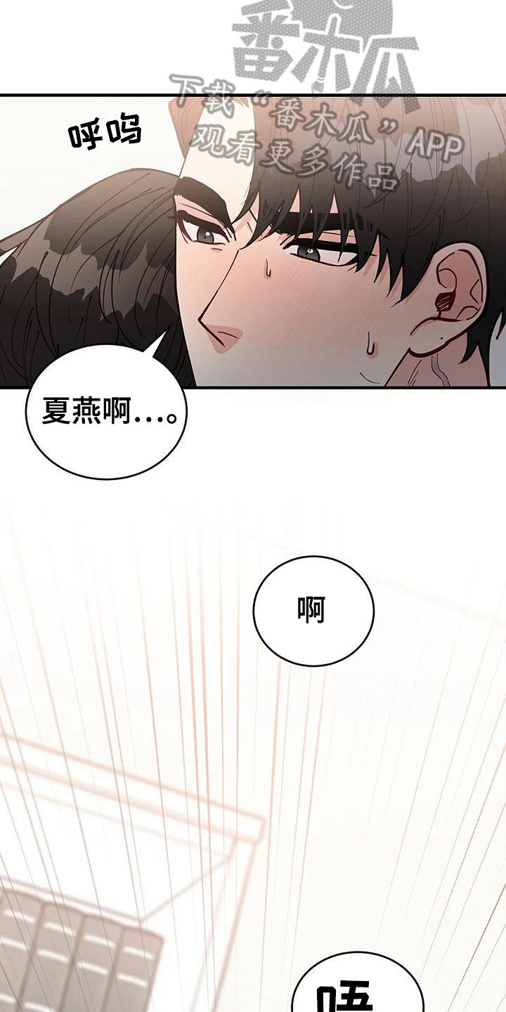 第17章：看脸17