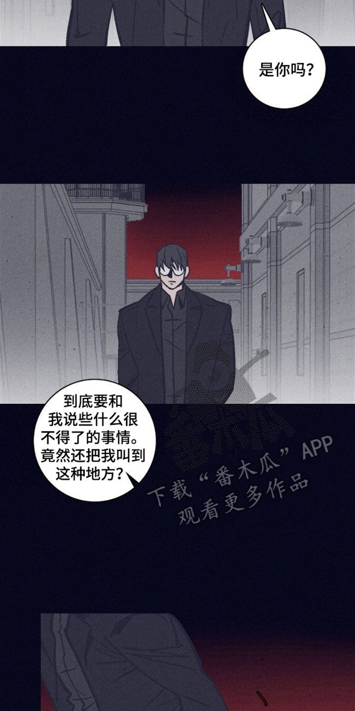第20章：调查13