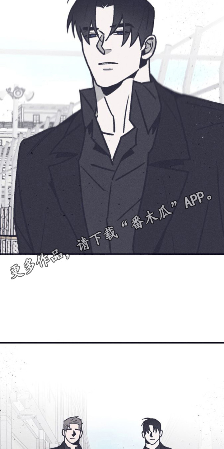 第20章：调查10