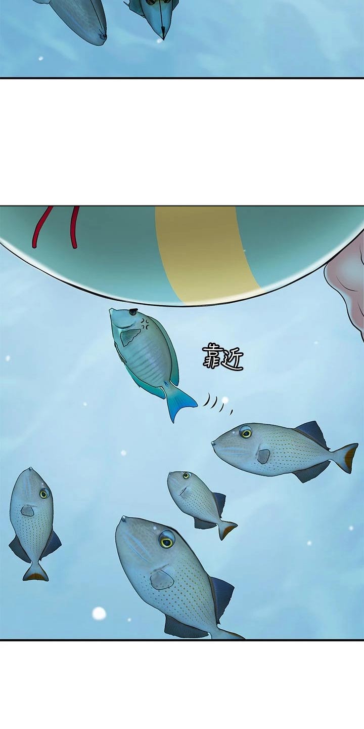 第62章：目光16
