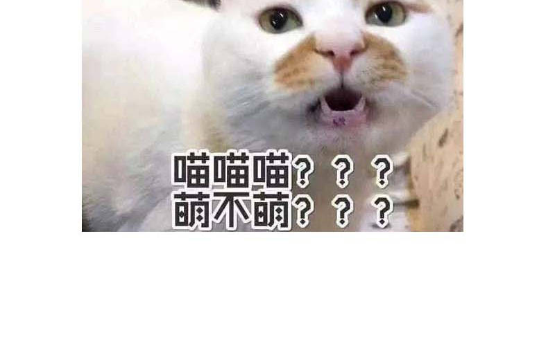第15章：你的番茄厚蛋烧65