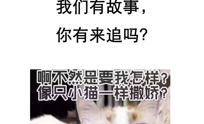 第15章：你的番茄厚蛋烧64