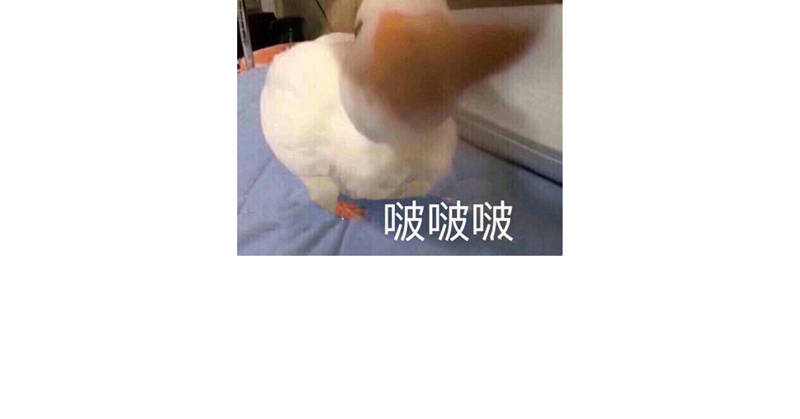 第14章：今天开始是夫妻66