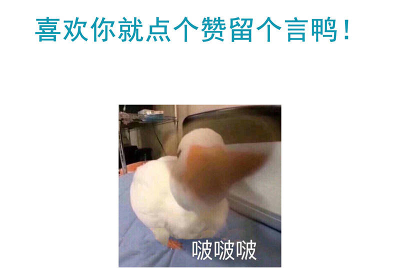 第11章：婚前协议规则49