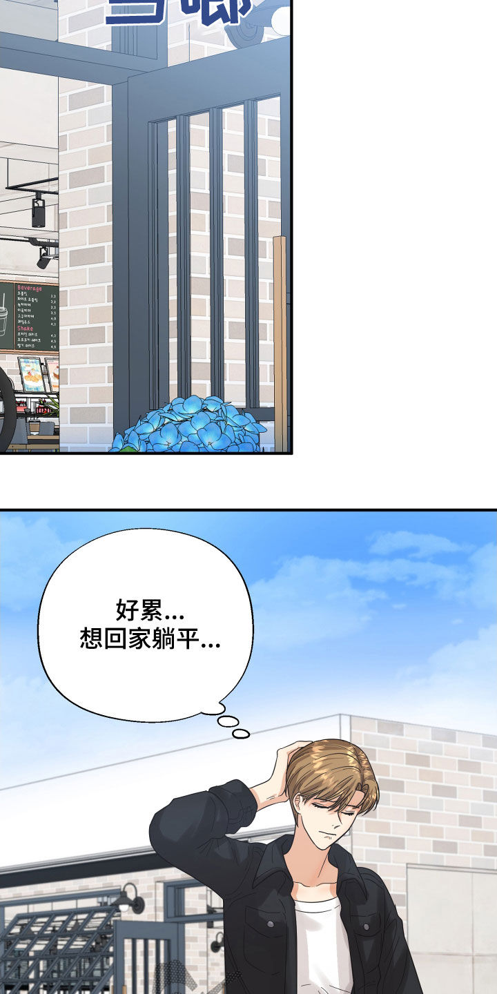 第21章：直觉15