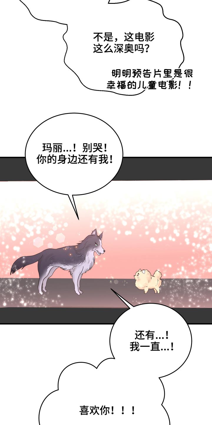 第35章：看电影23
