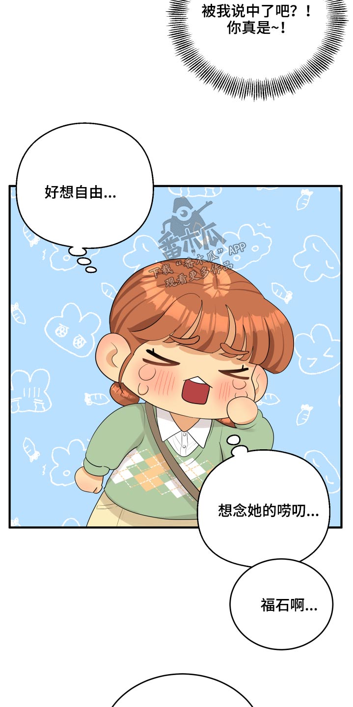 第33章：为什么17