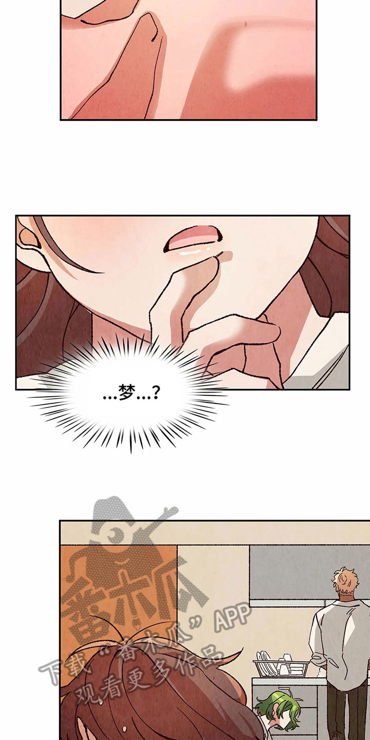 第19章：迷蒙15