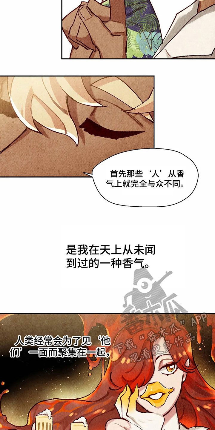 第6章：决心12