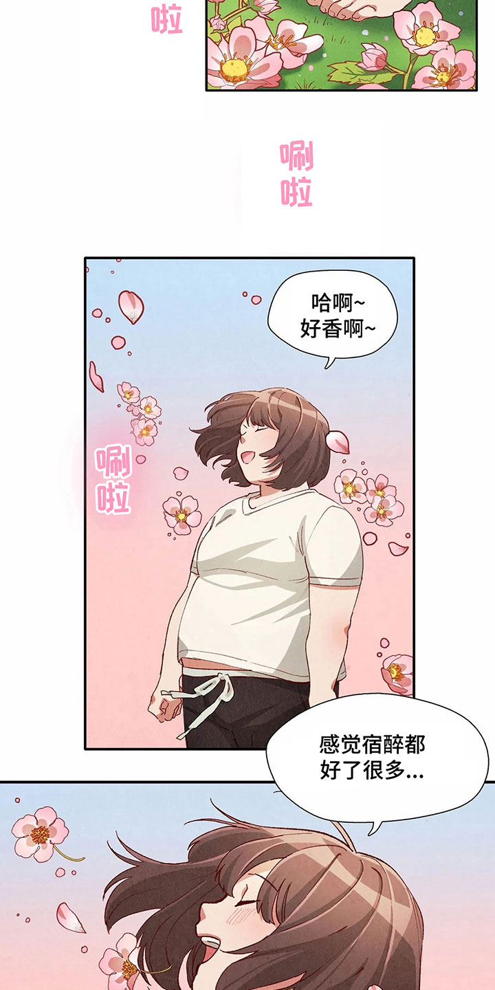 第34章：似梦非梦6
