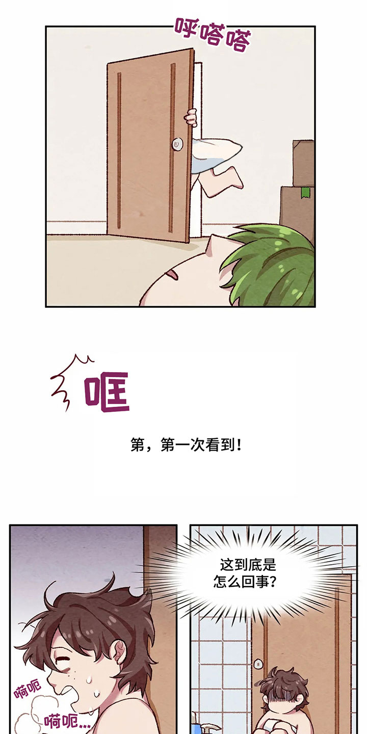 第3章：闯祸12