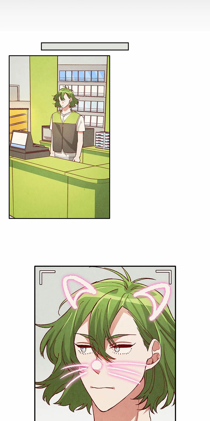第28章：找茬5