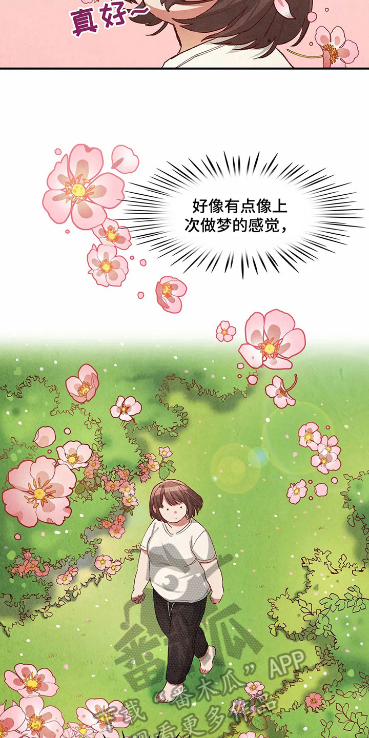 第34章：似梦非梦7