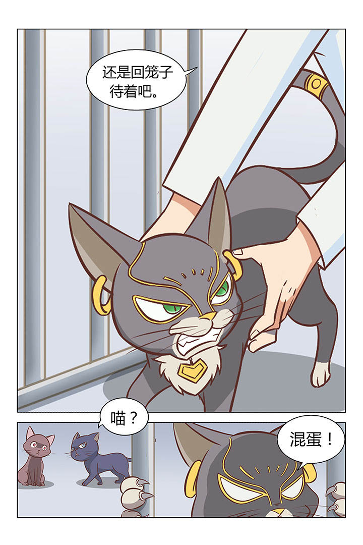 第17章：3