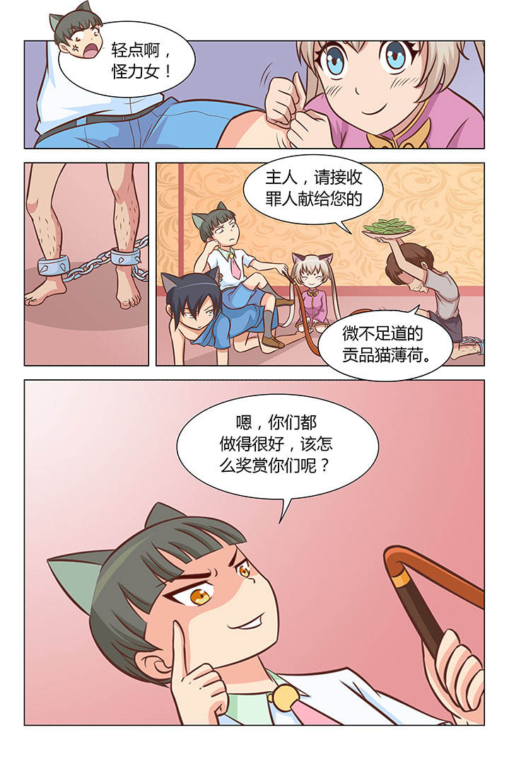 第31章：5