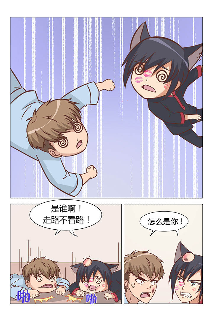 第51章：6