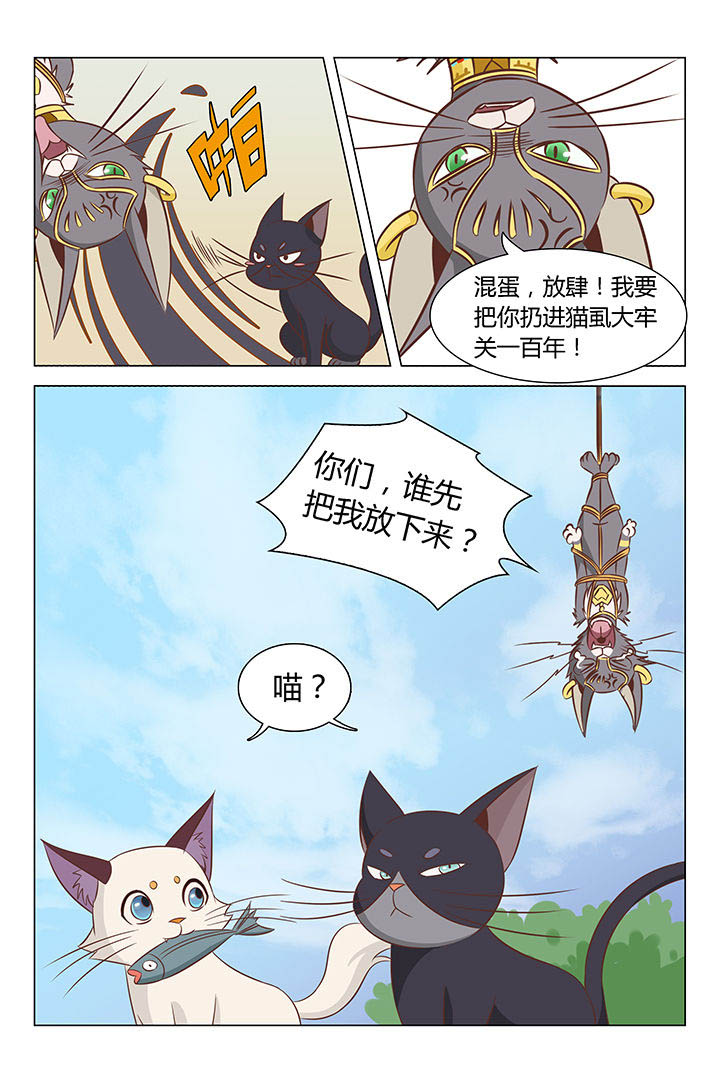 第20章：6