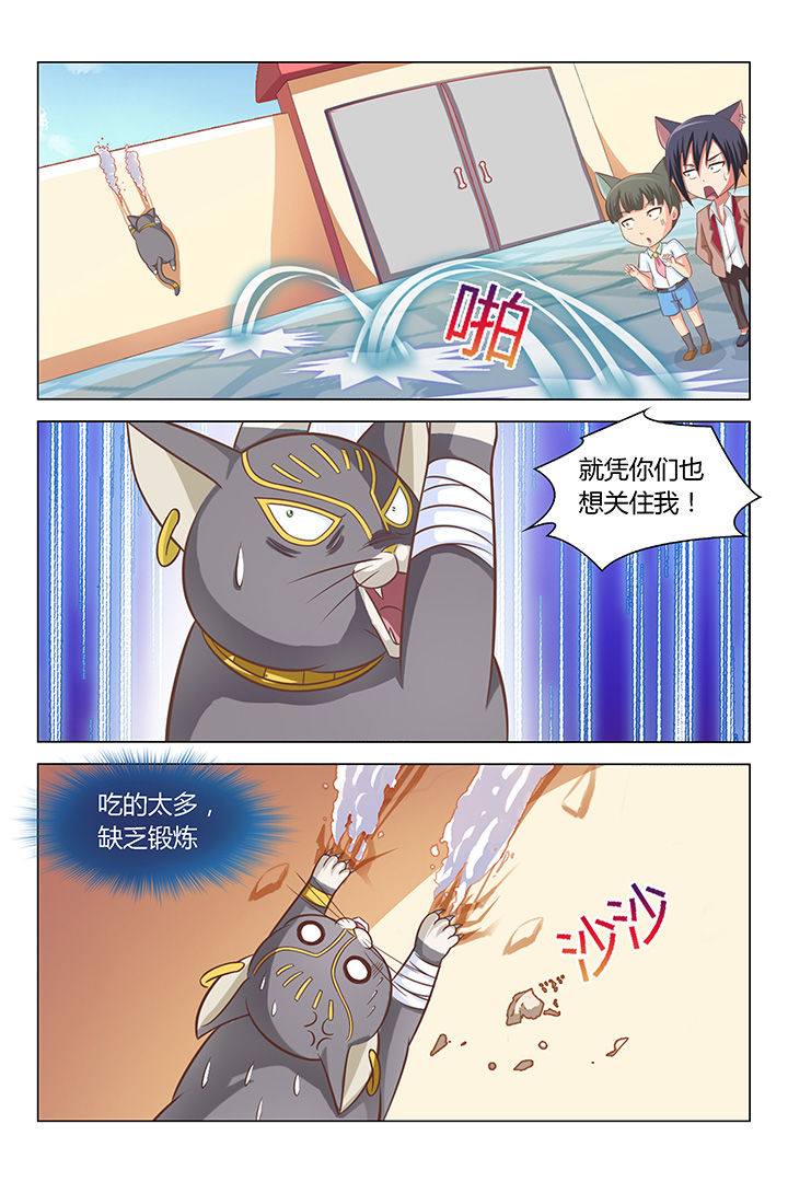 第87章：1