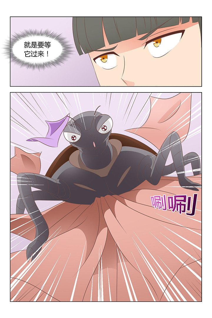 第138章：5