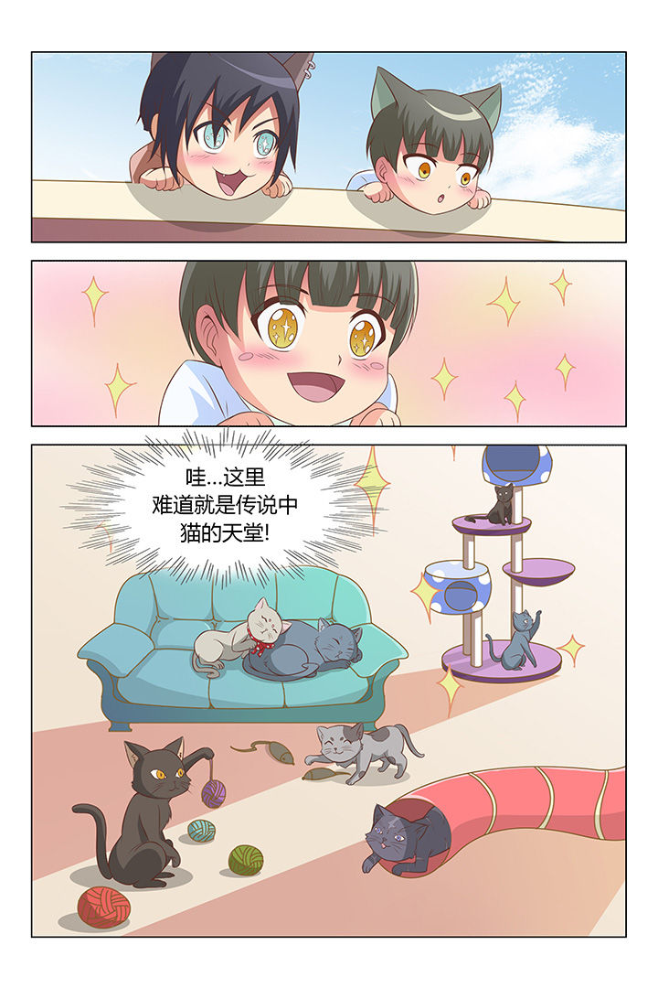 第85章：6