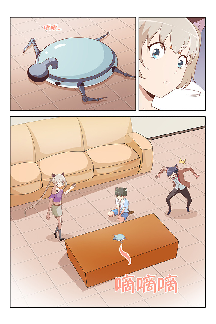 第161章：6