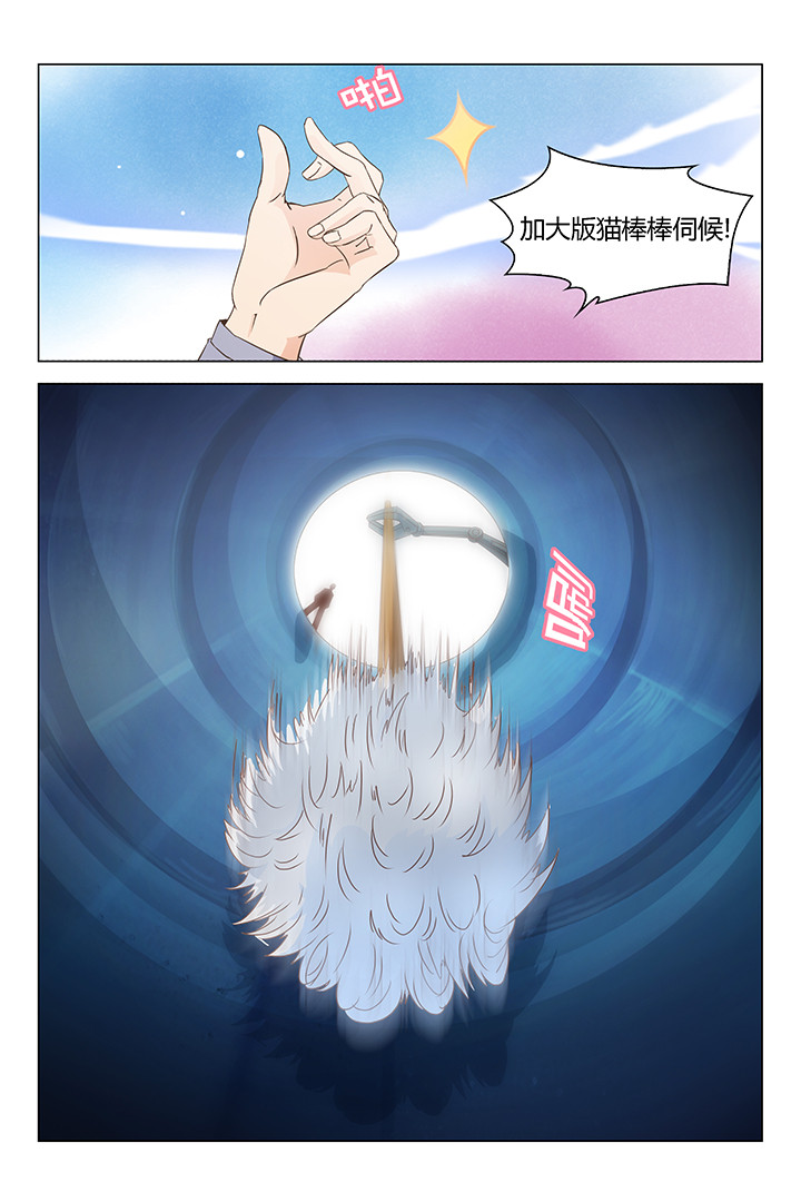 第147章：5