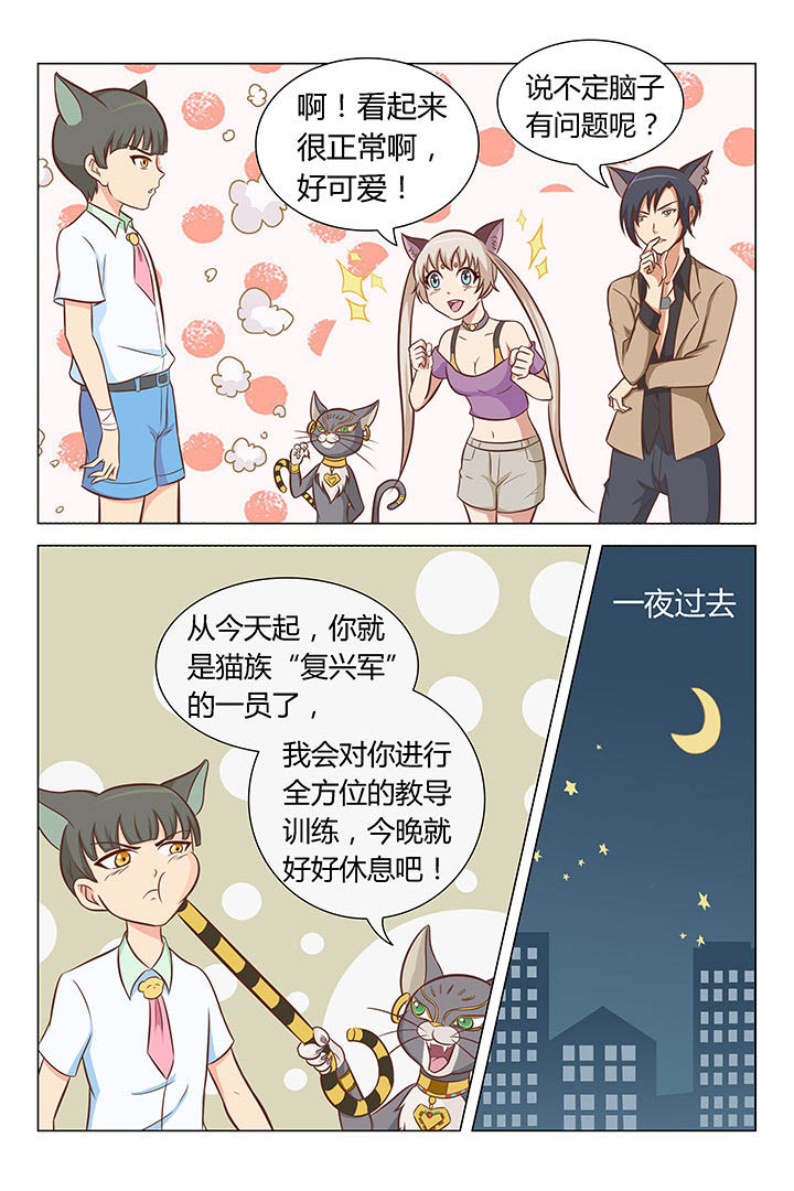 第6章：4
