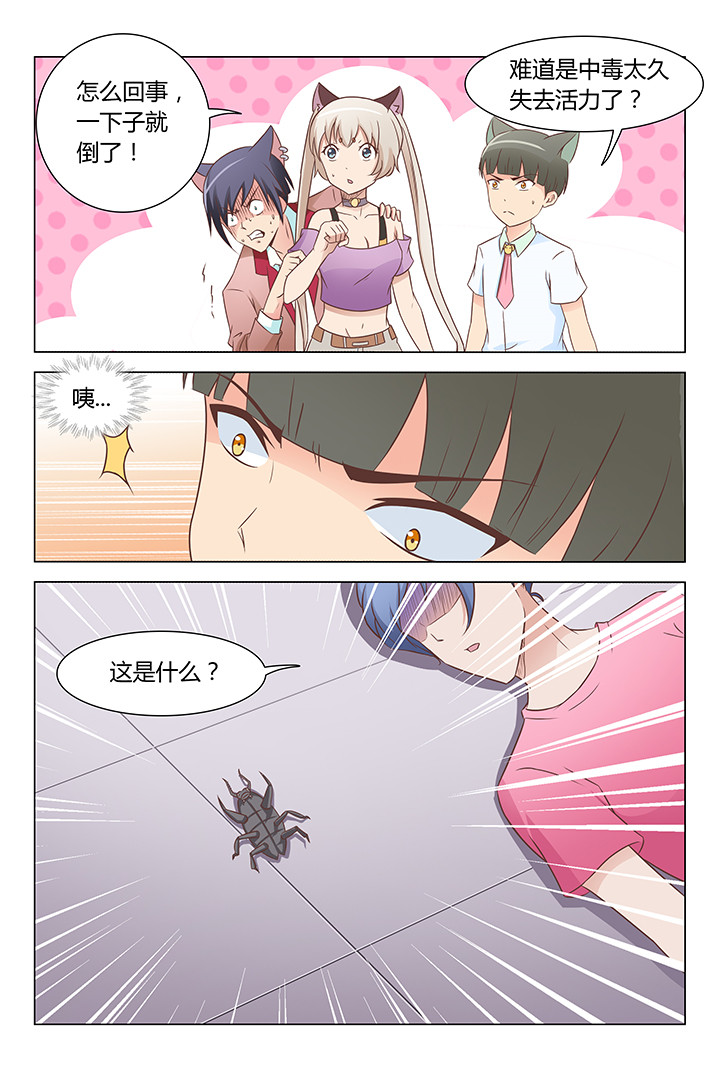 第136章：4