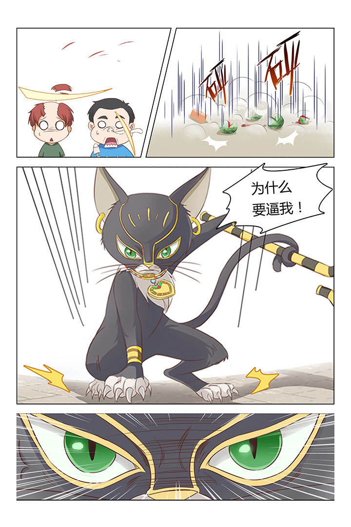 第20章：0