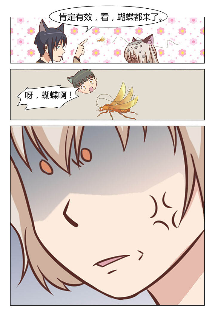 第35章：6