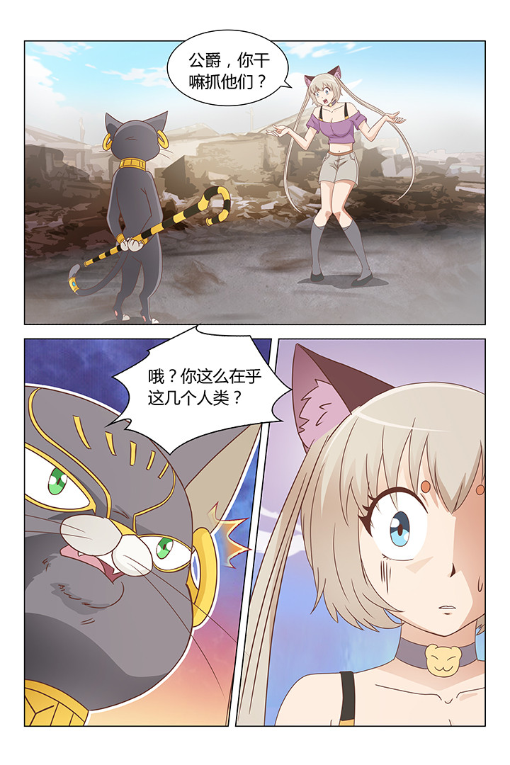 第164章：3
