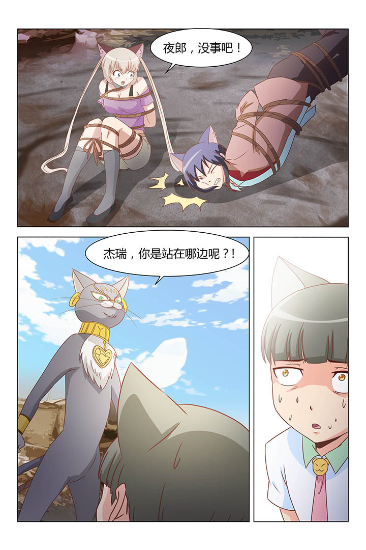 第166章：5