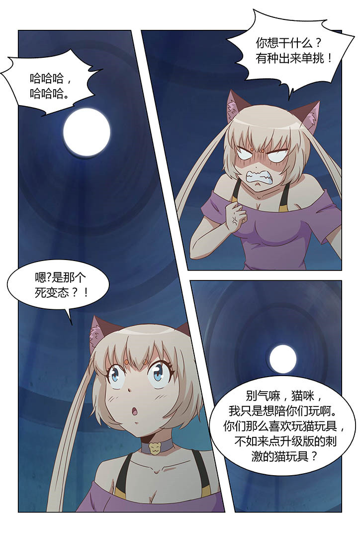 第146章：5