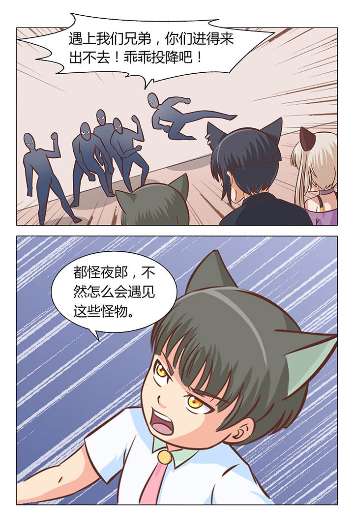 第54章：3