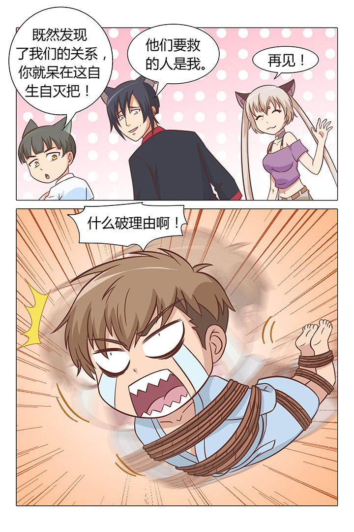 第54章：1