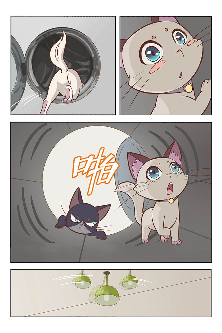 第1章：1