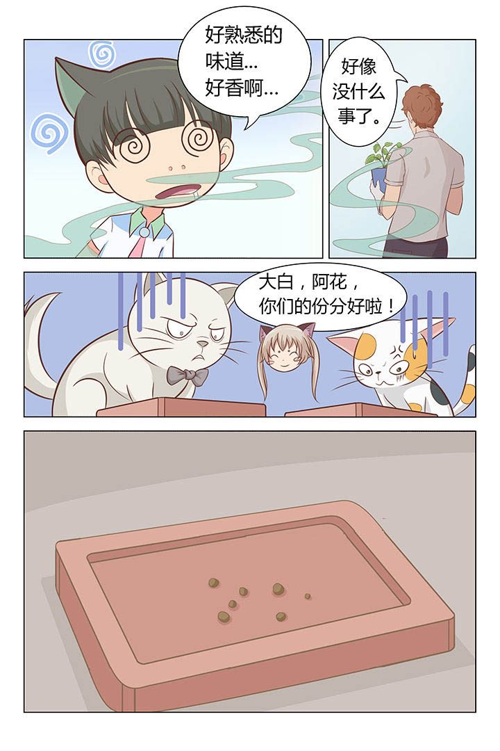 第12章：6