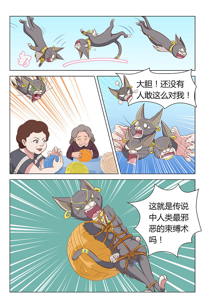 第18章：5