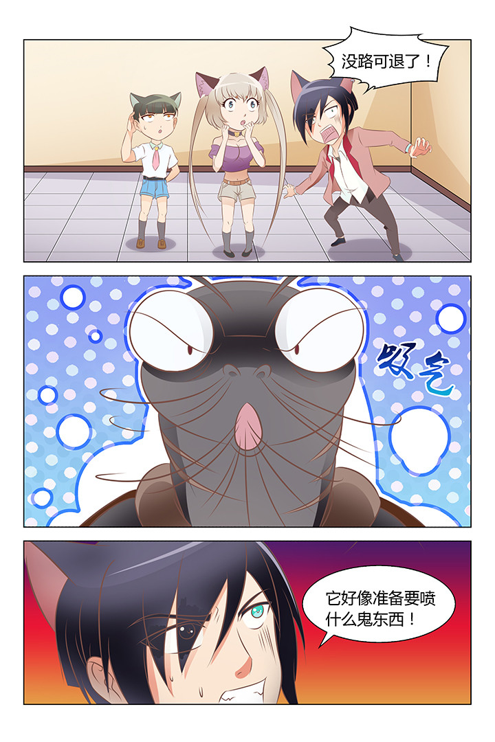 第137章：5