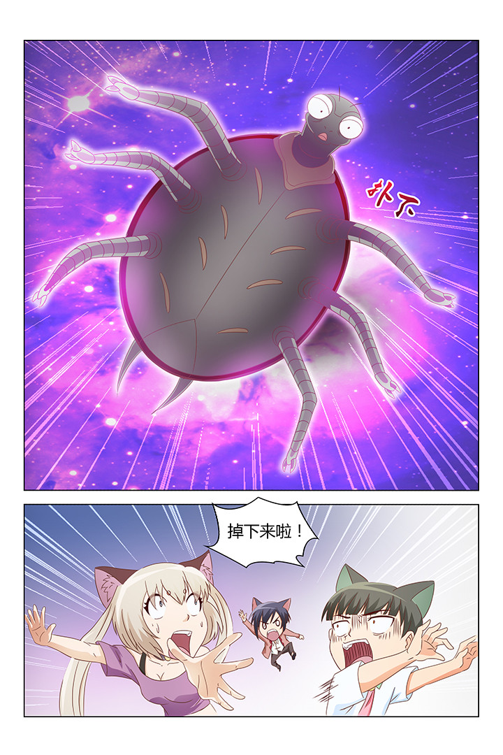 第137章：1
