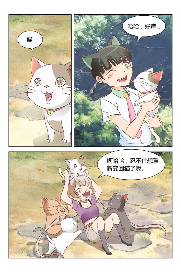 第141章：3