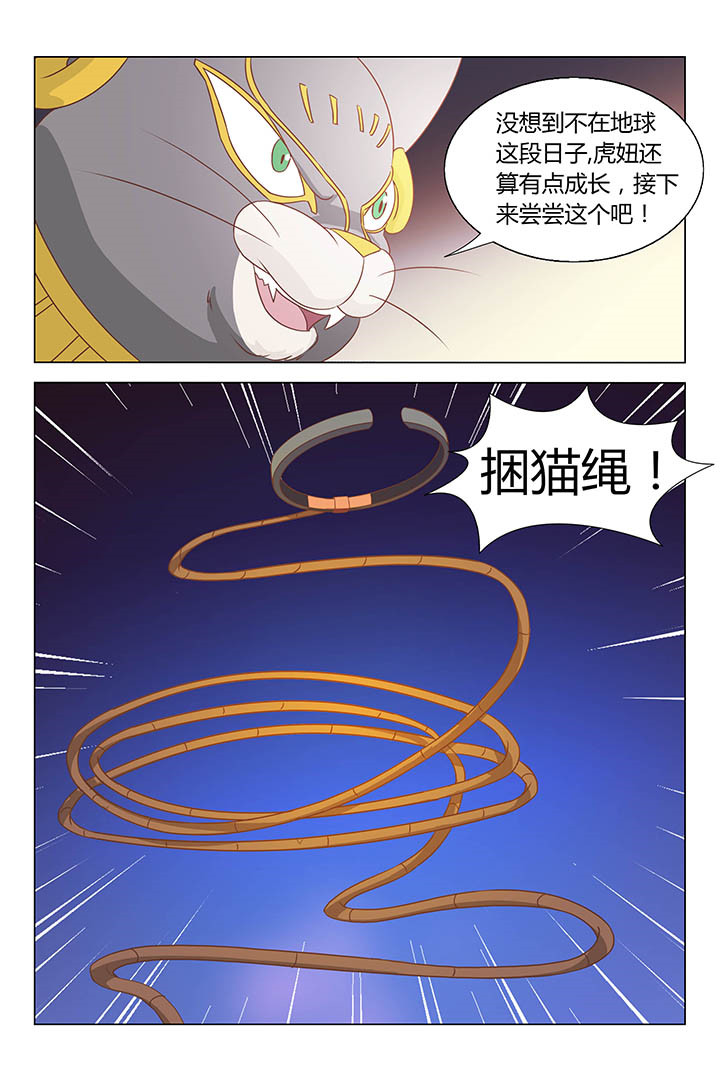 第165章：6