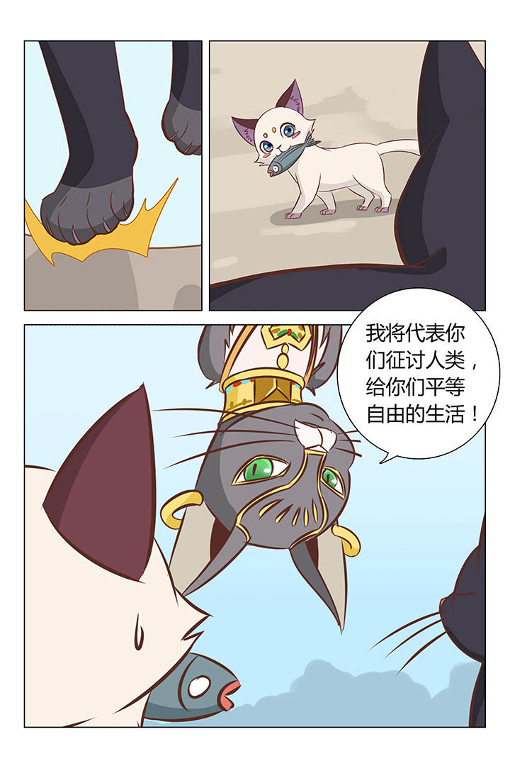 第20章：5