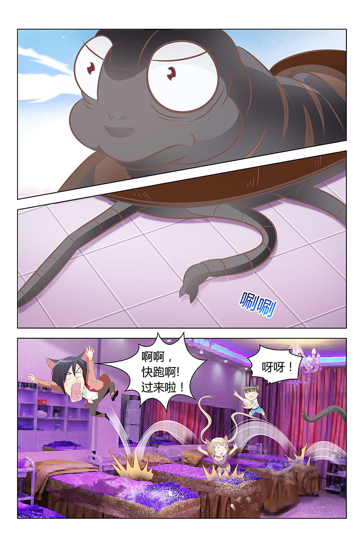 第137章：3
