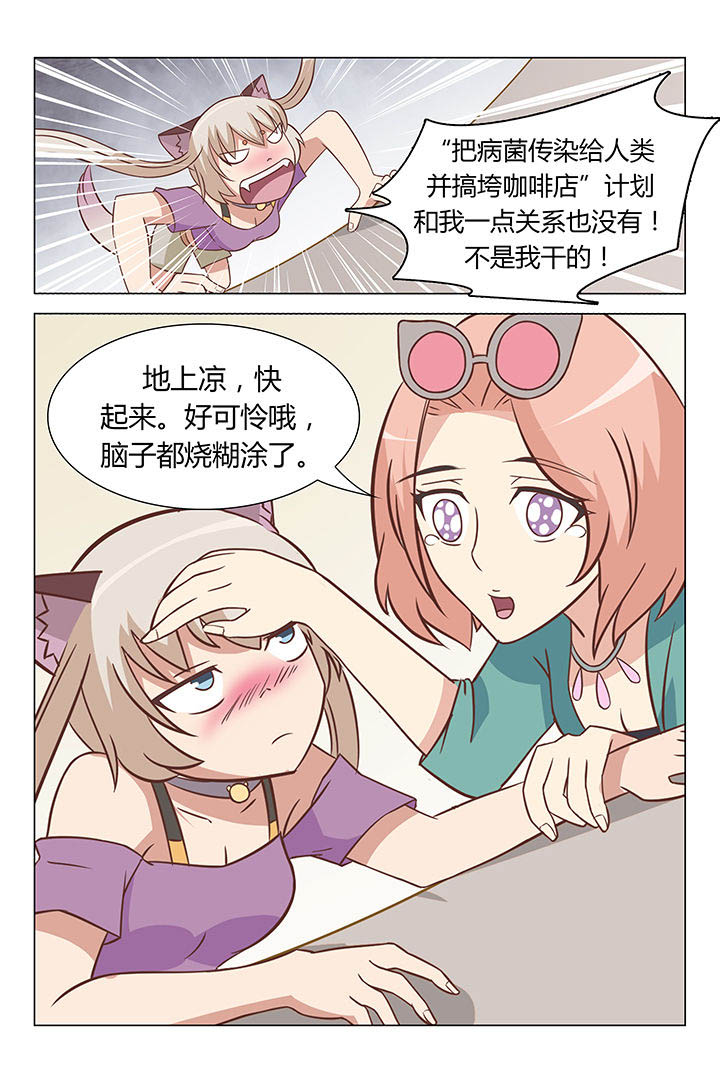 第41章：5
