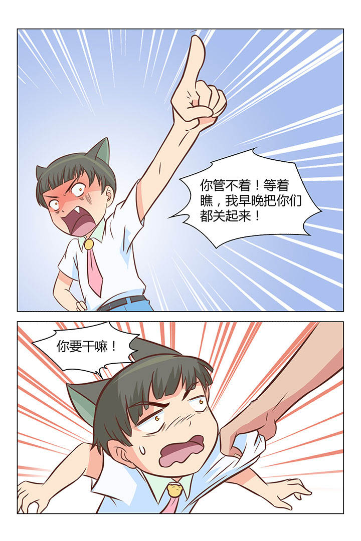 第33章：3
