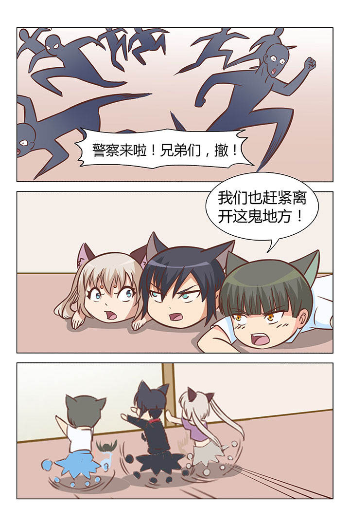 第55章：6