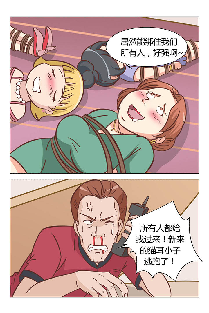 第51章：4